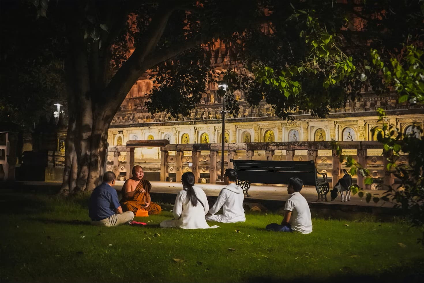 Sacred Bodhi Tree